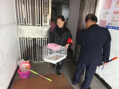 周芬兰：小区“好管家” 居民“贴心人”