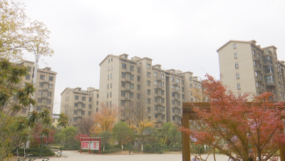 咸宁咸安：党建引领治理 共建幸福家园