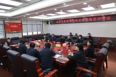 （待审）咸安大富源商业综合体招商项目成功签约