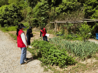 浮山街道银泉社区：宣传踏查守净土 禁种铲毒正当时