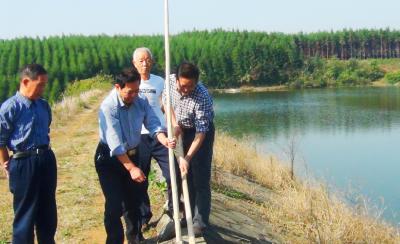 官埠桥镇：红色堡垒绽放桑榆之光