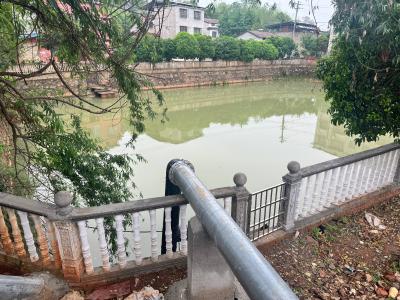 向阳湖镇：下好“防汛”先手棋 筑牢“民生”安全堤