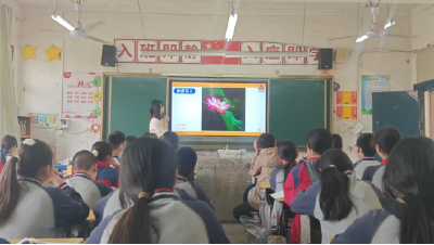横沟桥镇小学79名教师在四科展示中碰撞教学火花