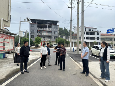 双溪桥镇第三代表小组开展聚力支点建设代表行动