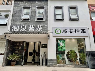 花香茶香溢桂乡