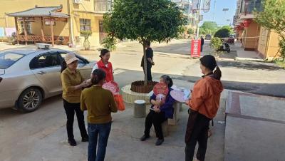 向阳湖镇：国家安全 你我共筑
