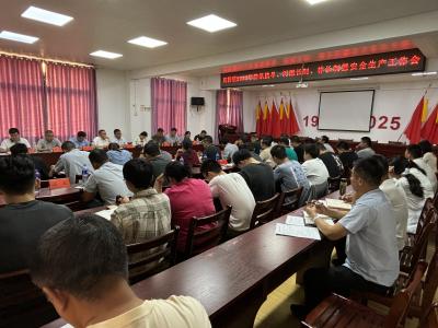 咸安区高桥镇：统筹安全与发展 擘画乡村振兴新图景