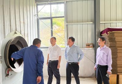 大幕乡以生态赋能养老产业 构建多层次康养服务新格局