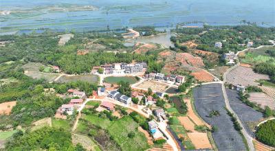 百千万出圈 强农建支点｜湖北咸宁雨坛垴村陈北塘：从“渔舟唱晚”到“瓜果飘香”的乡村振兴蝶变