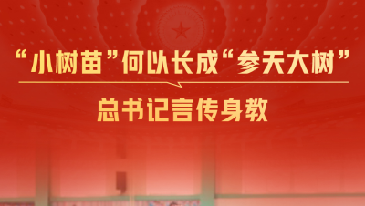 一见·“小树苗”何以长成“参天大树”，总书记言传身教