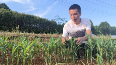 新农人王吉：科技赋能“节本增效”