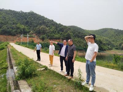 借智引策促发展 聚才赋能谋振兴
