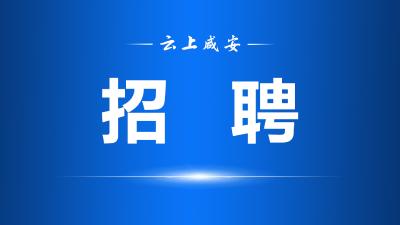 明起报名，计划招录2577人！