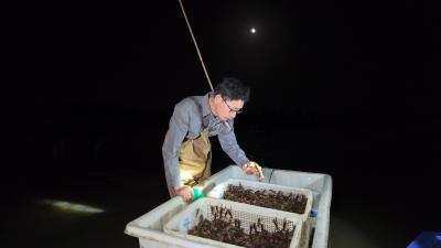 V视 | 咸宁咸安：一笼虾苗一湖金，向阳湖畔富路长