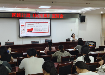 咸安区统计局：数“典”释法  以“法”正身