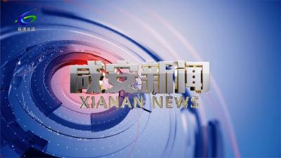 《咸安新闻》（6月11日）