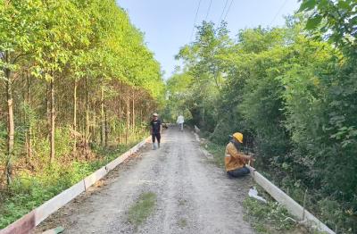 咸安官埠桥镇：干群同心齐铺路　乡村蝶变幸福来