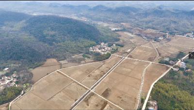 咸安：“小田并大田”蹚出“碎地生金”新路子