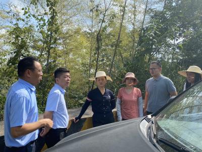 咸安区多部门联合督导星星竹海竹蝗防治工作  筑牢生态与民生防线