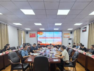 向阳湖镇召开发展壮大村集体经济座谈会 凝聚共识促振兴 
