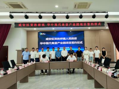 项目签约，贺胜桥镇鸡产业再添新活力