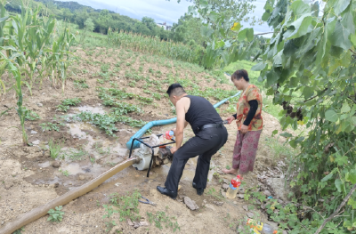 温泉街道肖桥村：全力抗旱保丰收 筑牢水分保障线