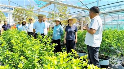 全国百余名学员齐聚咸安 解锁农业绿色转型“实践密码”