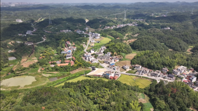 【美丽乡村】马桥镇钱庄村钱家庄自然湾