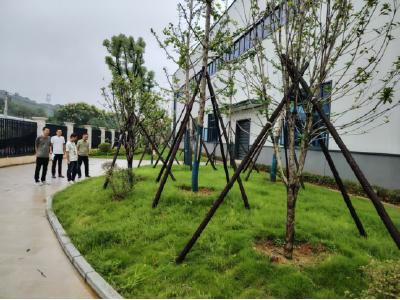 区水利和湖泊局联合区市场监管局开展生产建设项目水土保持双随机抽查