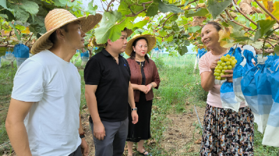 咸安优质水果8月30日首进中百仓储， “国企联村”助力巾帼创新创业