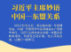 学习进行时｜习近平主席妙语中国—东盟关系