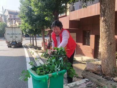 一把扫帚   七年坚守 ——保洁员雷和兴的坚守与担当