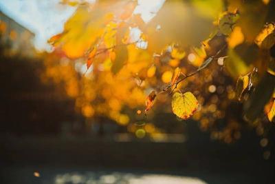 一到秋天就郁闷？可能是身体“缺水”了