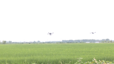 咸安：农业社会化服务获农户点赞 年服务面积超20万亩