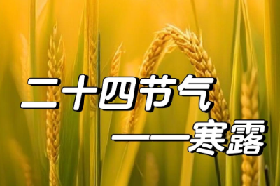 寒露吟（外一首）