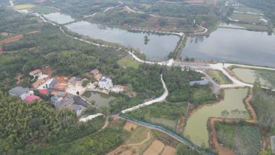 小渔村蝶变记：邓家咀的“美丽密码”藏在村民心坎里