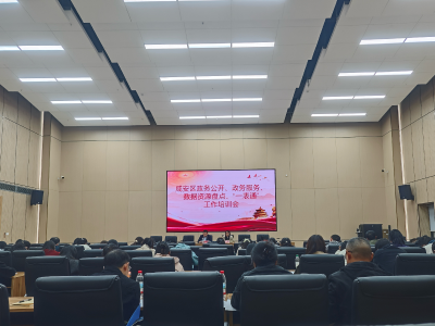 区政数局：多维赋能 提质增效