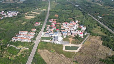 咸安贺胜桥镇桃林村：和美乡村绘新卷 产业兴旺促振兴