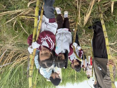 咸宁咸安：沉浸式体验农耕，500萌娃田间“开课”！