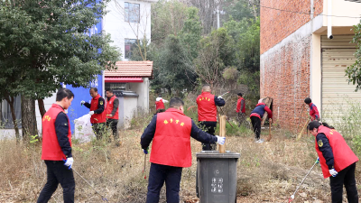 向阳湖镇启动“清洁家园”百日攻坚行动