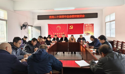 区人大常委会到高桥镇刘桢村宣讲党的二十届四中全会精神并调研指导工作