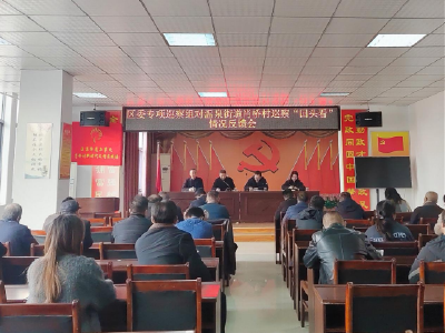 温泉街道肖桥村：锚定问题抓整改 乡村治理提质效