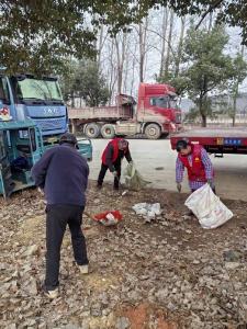 汀泗桥镇：“清洁家园”见实效 “桂乡管家”促长效