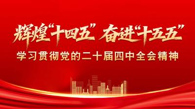 辉煌“十四五” 奋进“十五五”——学习贯彻党的二十届四中全会精神