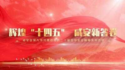 《辉煌“十四五” 咸安新答卷》系列访谈栏目②——城乡发展篇（温泉街道）