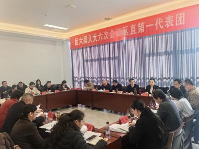 人大代表分组审议 为民履职共绘蓝图