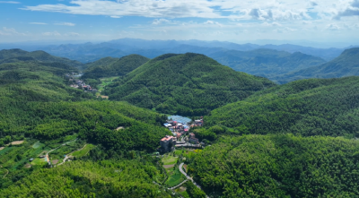 汀泗桥镇星星村陈家沟