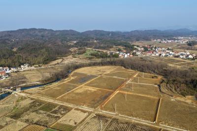 咸安高桥镇：高标准农田焕新颜，筑牢春耕“耕”基