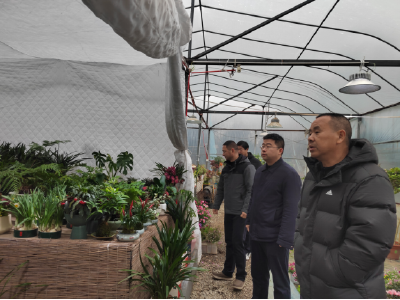 温泉街道：多点发力筑牢低温雨雪防御屏障