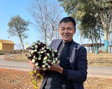 河背荒山变网红田园，他把诗意种进田垄里